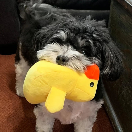 Pack Peluche Sonoro – Diversión Garantizada para mascotas - Wufiro